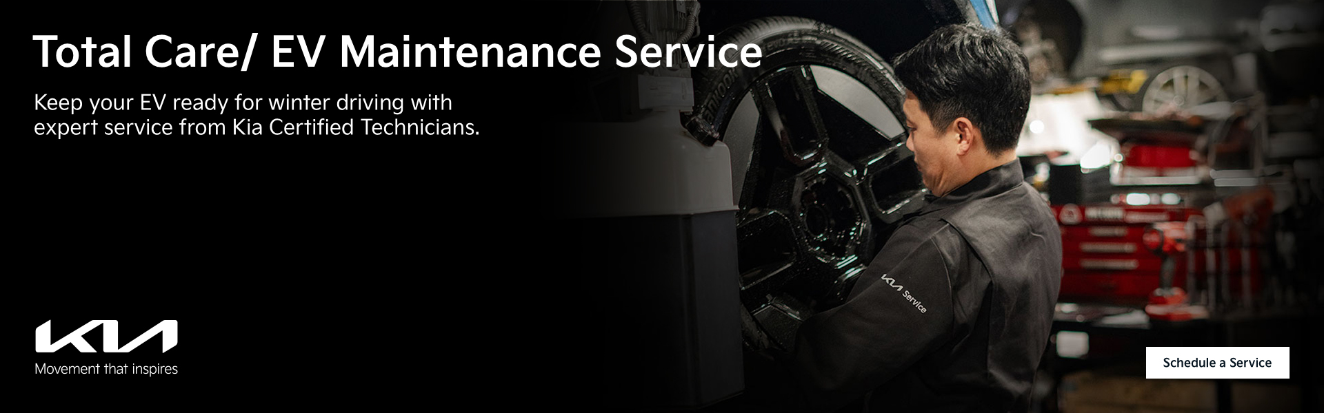 Total Care/ EV Maintenance Service