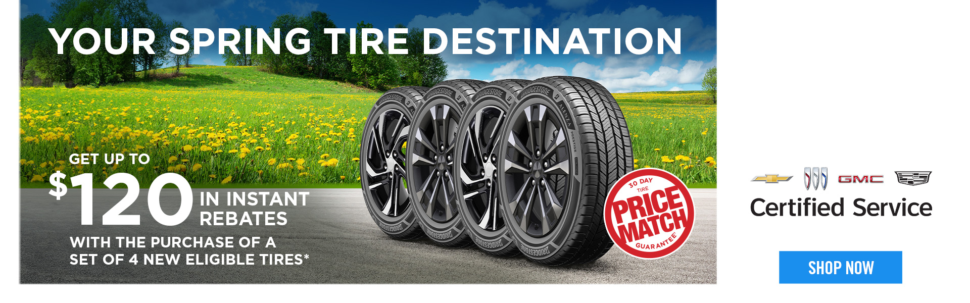 Spring Tire Campaign - EN