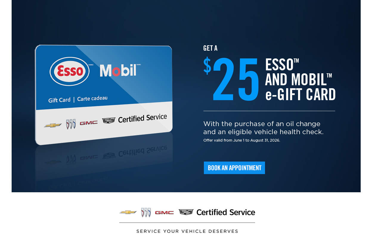 Esso Campaign - EN